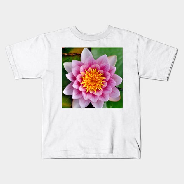 Captivating Pink Water Lily Kids T-Shirt by DesignMore21